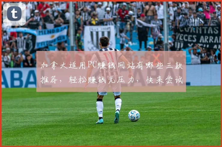加拿大适用PC赚钱网站有哪些三款推荐，轻松赚钱无压力，快来尝试逗逗逗