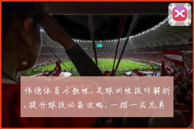 伟德体育方教练,足球训练技巧解析,提升球技必备攻略,一招一式见真章