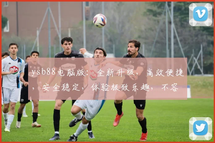 ysb88电脑版：全新升级，高效便捷，安全稳定，体验极致乐趣，不容错过