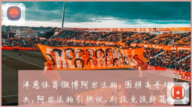 洋葱体育微博阿尔法狗,围棋高手对决,阿尔法狗引热议,科技竞技新篇章